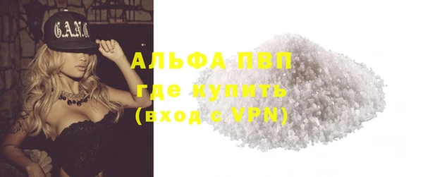 сатива Лабытнанги