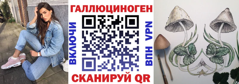 Галлюциногенные грибы прущие грибы  магазин    Щёлкино 